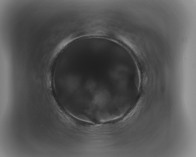 X0000112171455200908141256