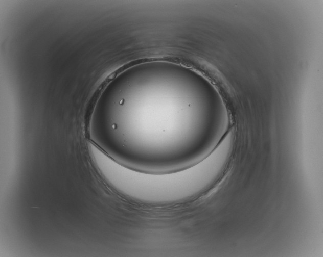 X0000112171457200908141256