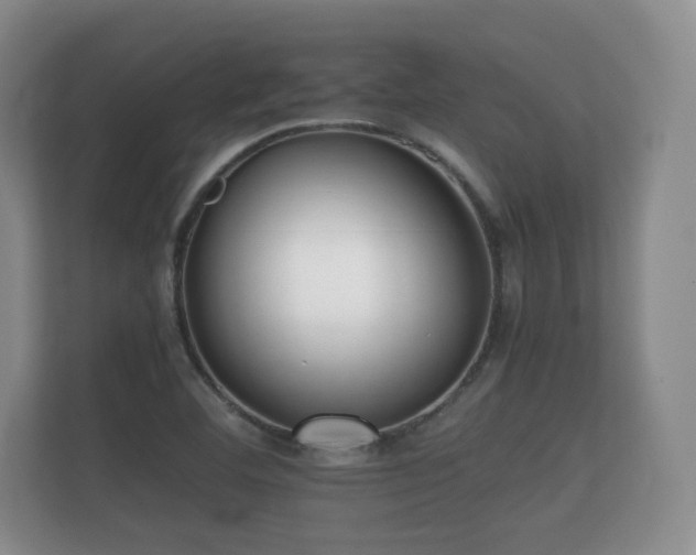 X0000112171460200908141256