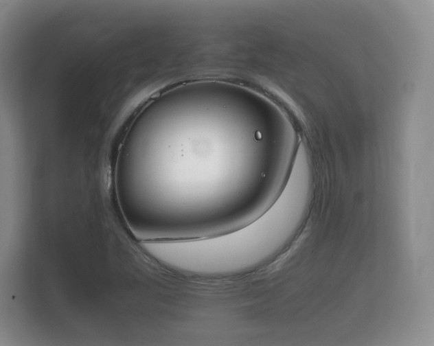 X0000112171461200908141256