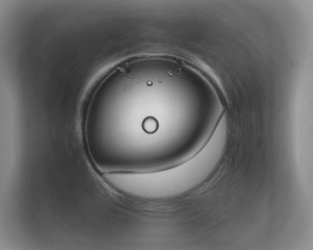 X0000112171464200908141256