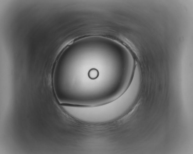 X0000112171465200908141256