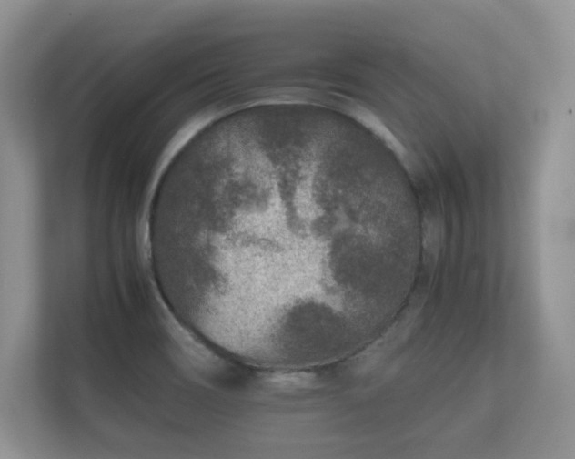 X0000112171466200908141256