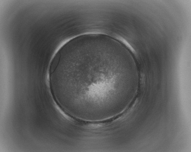 X0000112171468200908141256