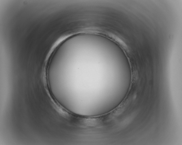 X0000112171470200908141256