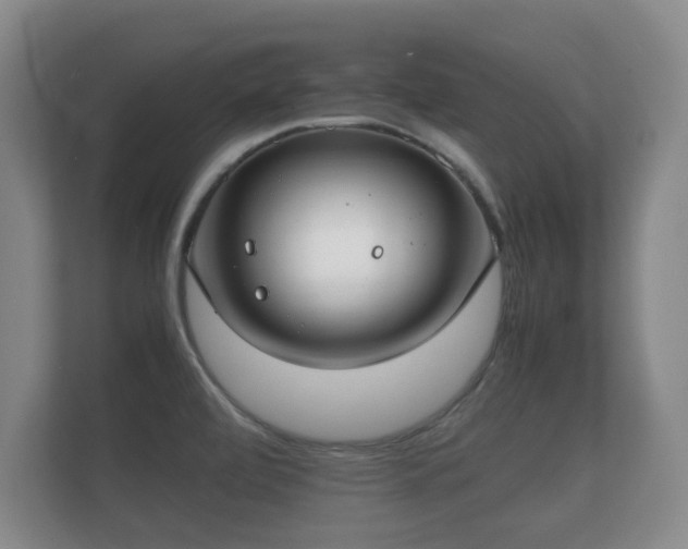 X0000112171472200908141256