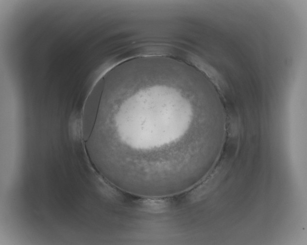 X0000112171473200908141256