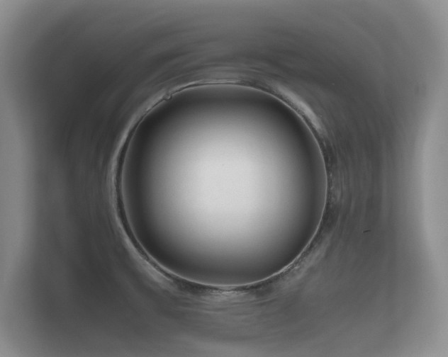 X0000112171475200908141256