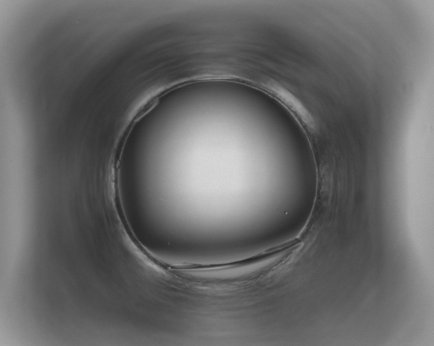 X0000112171476200908141256