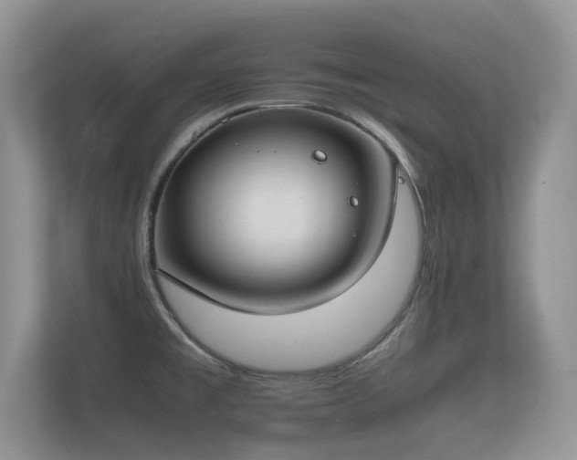 X0000112171477200908141256