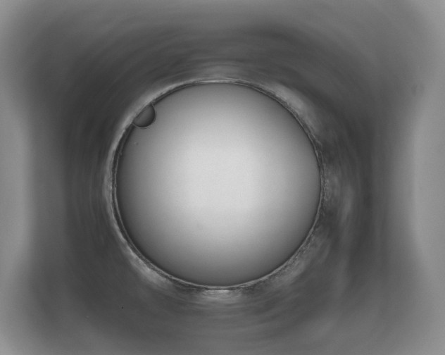 X0000112171478200908141256