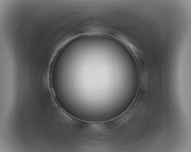 X0000112171480200908141256