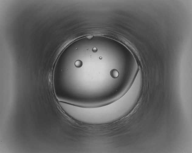 X0000112171481200908141256