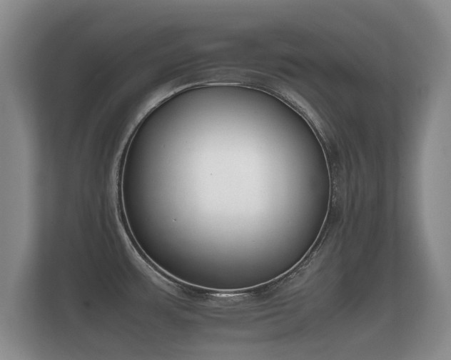 X0000112171483200908141256