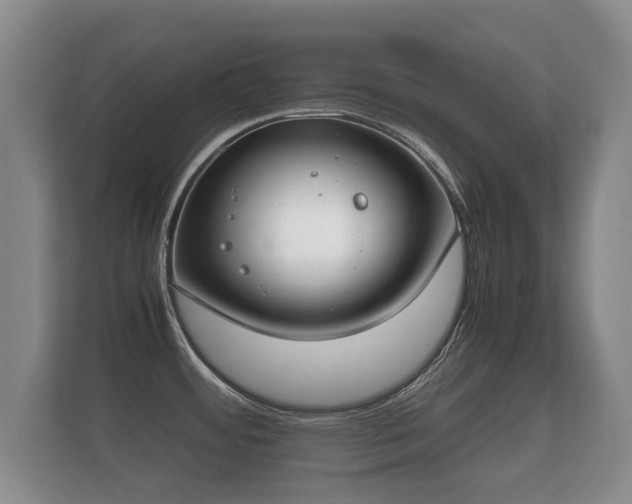 X0000112171484200908141256