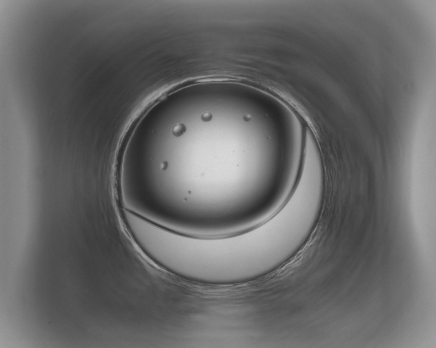 X0000112171485200908141256