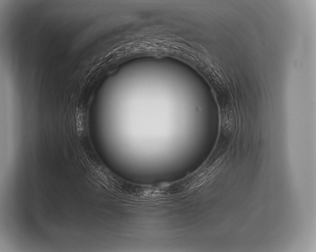 X0000112171490200908141255