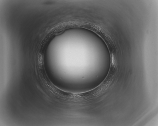 X0000112171492200908141255