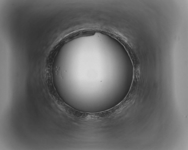 X0000112171496200908141255