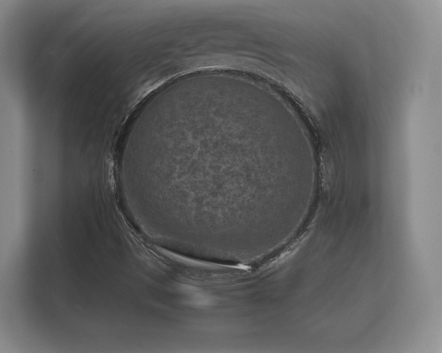 X0000112171497200908141255