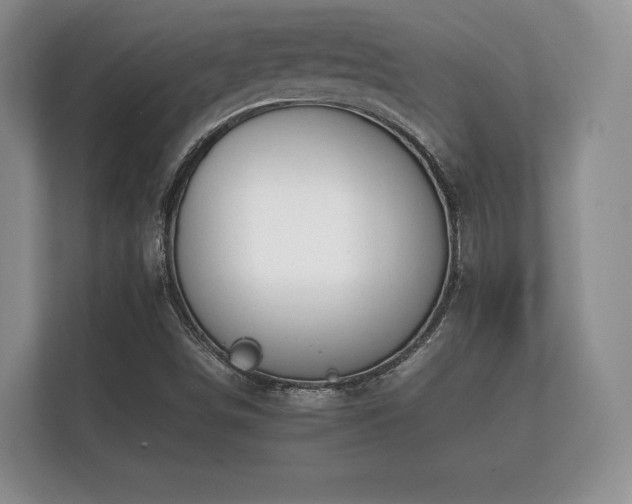 X0000112171498200908141255