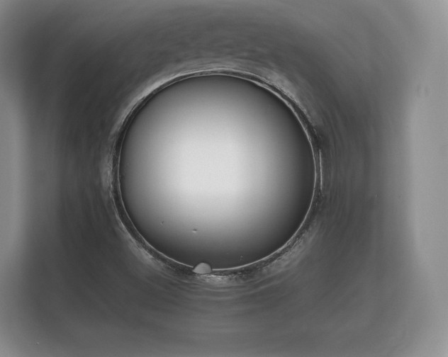 X0000112171500200908141255