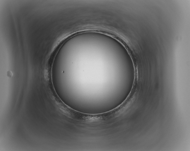 X0000112171501200908141255