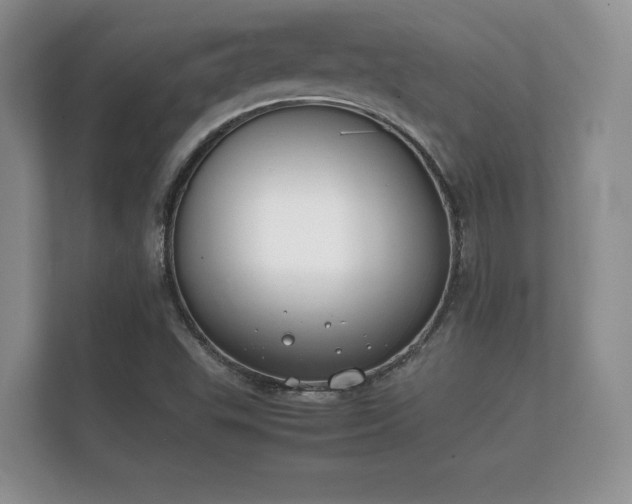 X0000112171503200908141255