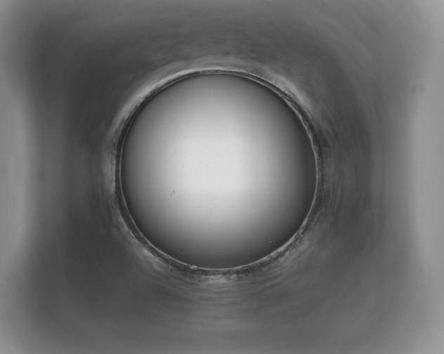 X0000112171504200908141255