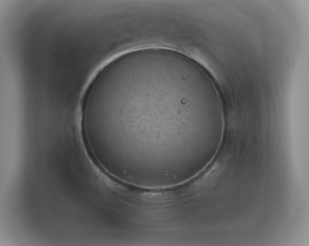 X0000112171508200908141255