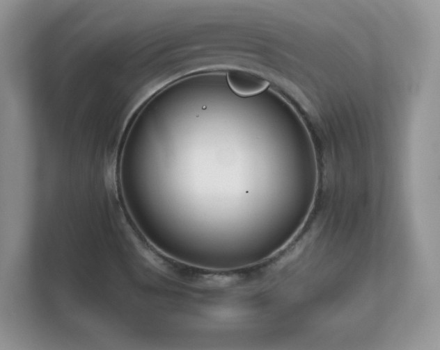 X0000112171513200908141255