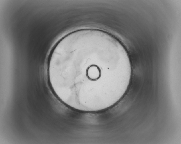 X0000112171514200908141255