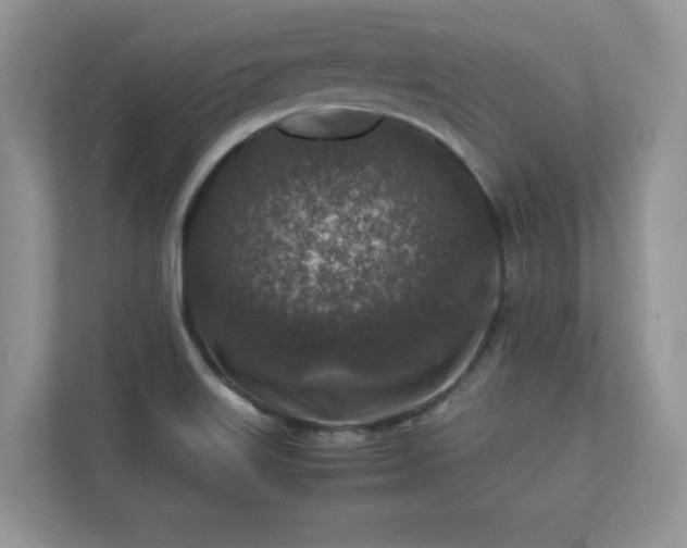 X0000112171515200908141255