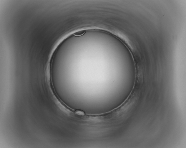 X0000112171516200908141255