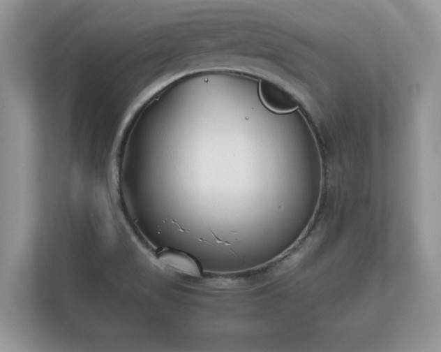 X0000112171517200908141255