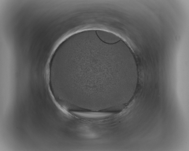 X0000112171519200908141255