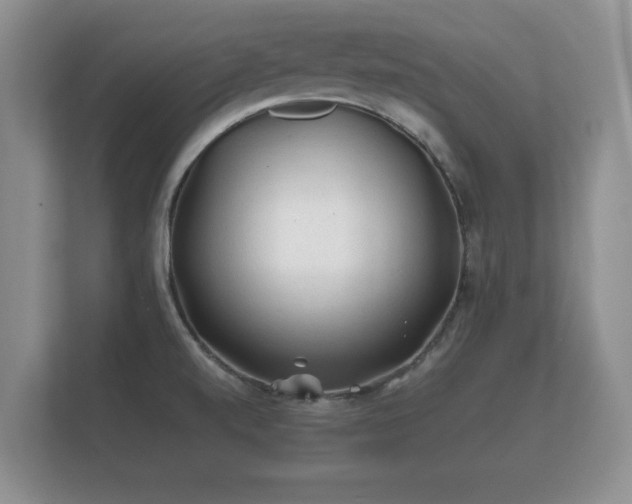 X0000112171520200908141255