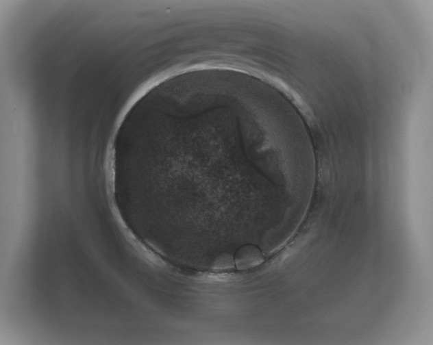 X0000112171522200908141255