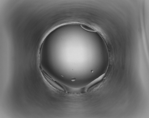 X0000112171524200908141255