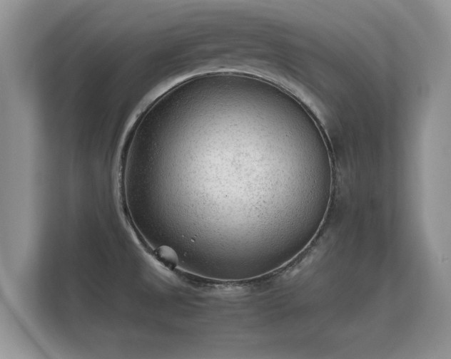 X0000112171525200908141255