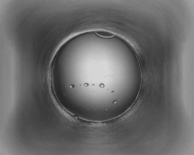 X0000112171526200908141255