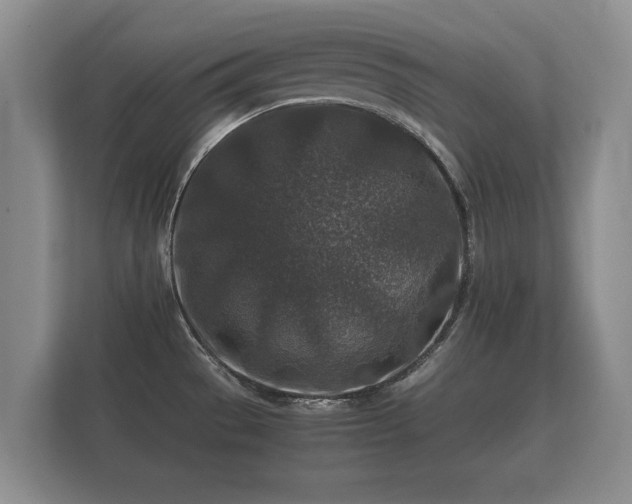 X0000112171529200908141255