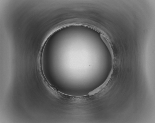 X0000112171530200908141255