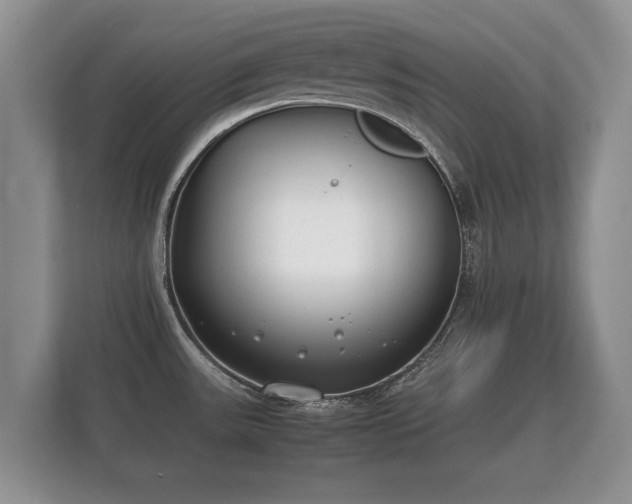 X0000112171531200908141255