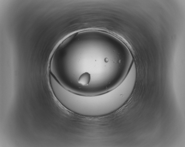 X0000112171532200908141255