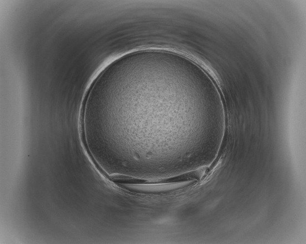 X0000112171533200908141255