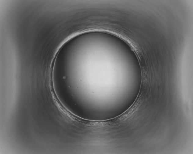 X0000112171534200908141255