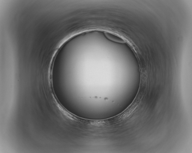 X0000112171535200908141256