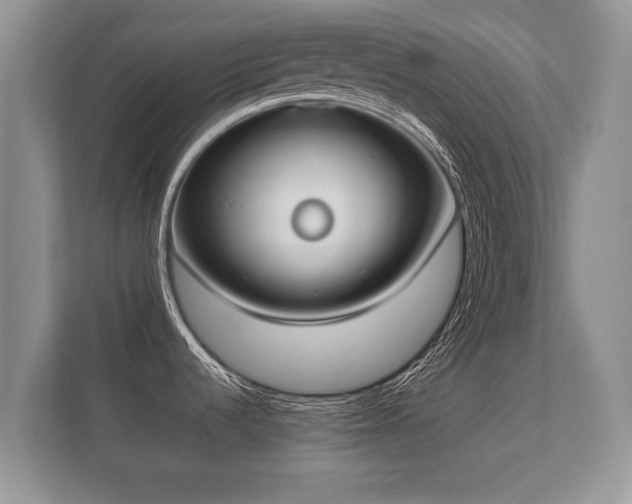 X0000112171536200908141256