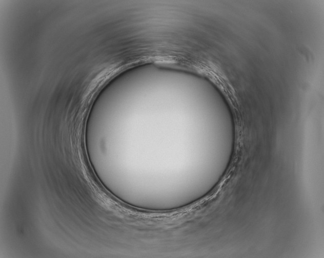 X0000112170001200908211436